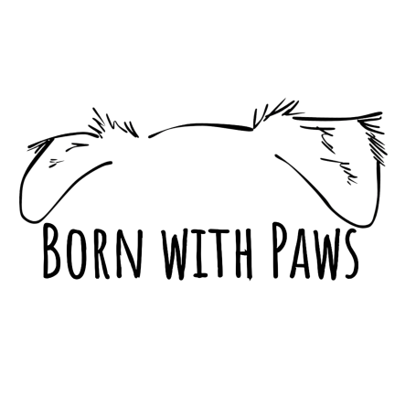 Hundetraining auf Mensch und Hund zugeschnitten